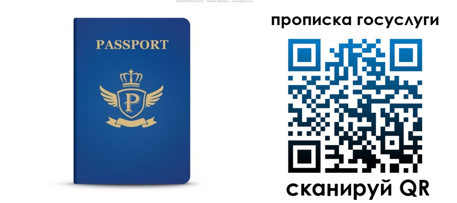 прописка для школы в Балашове